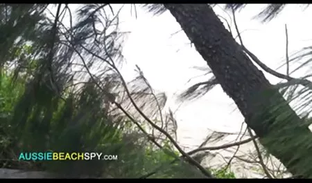 تپش سکس مادر زن باداماد گربه